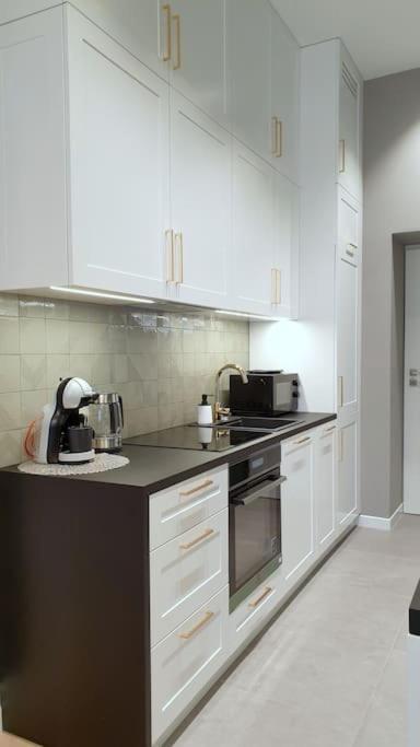 Exclusive, Unique Apartment, 2 Bathrooms, 105sqm Apartment Krakow